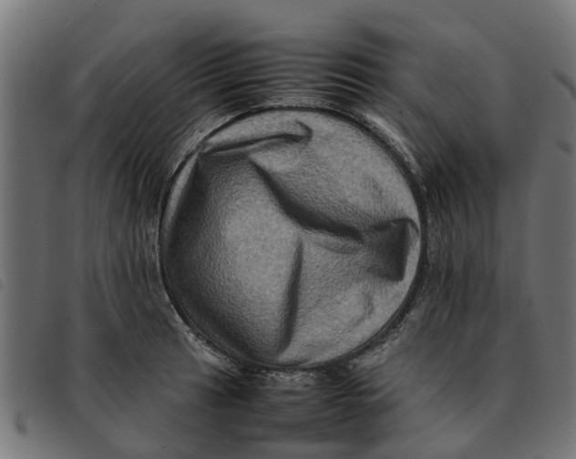 X0000092231041200710121213