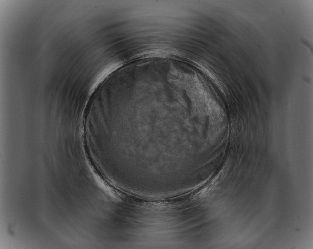 X0000092231042200710121213