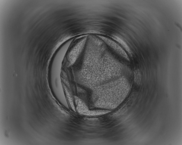 X0000092231043200710121213