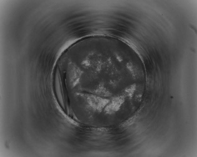 X0000092231045200710121214