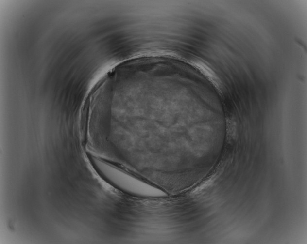 X0000092231046200710121214