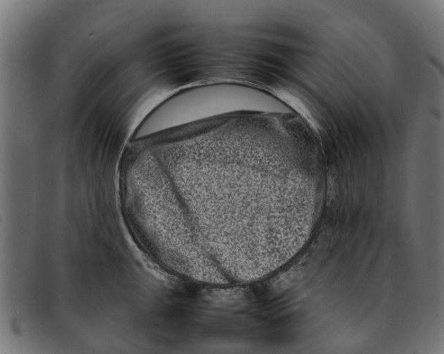 X0000092231047200710121214