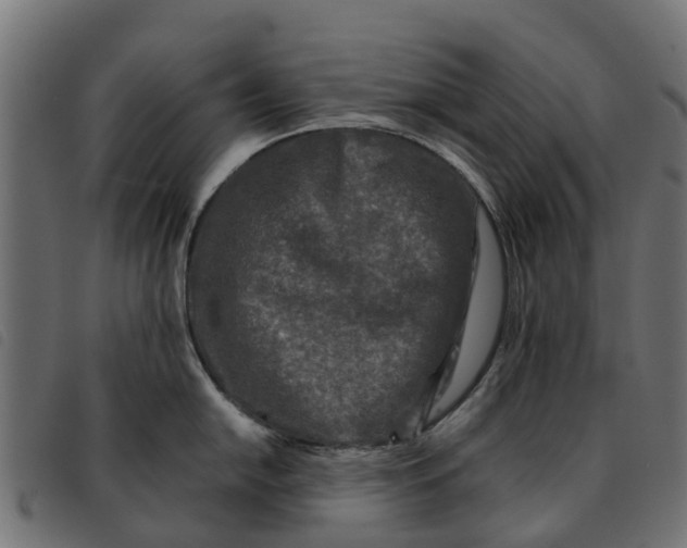 X0000092231054200710121214