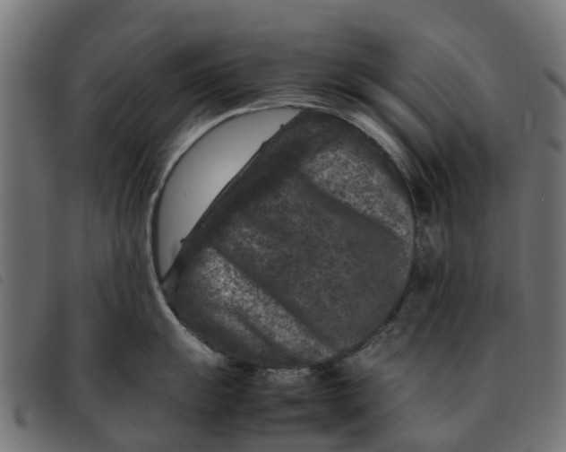 X0000092231055200710121214