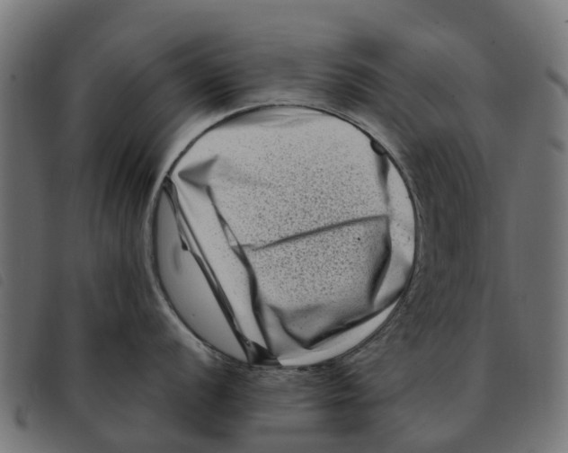 X0000092231056200710121214