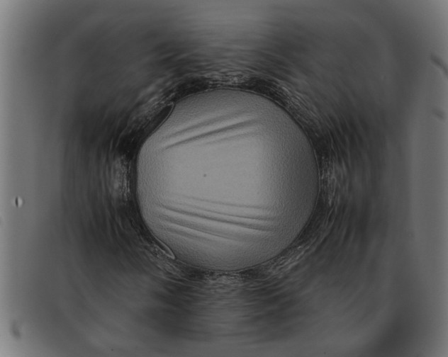 X0000092231058200710121213