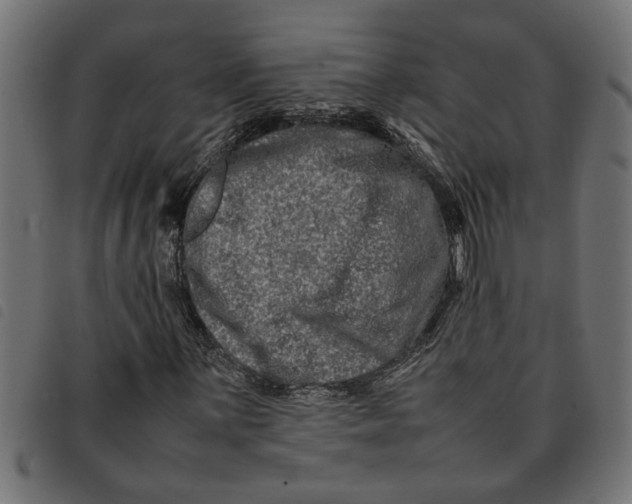 X0000092231059200710121213