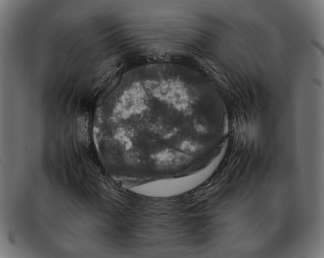 X0000092231060200710121213