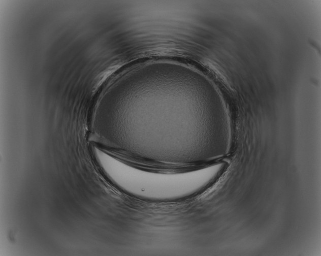 X0000092231065200710121213