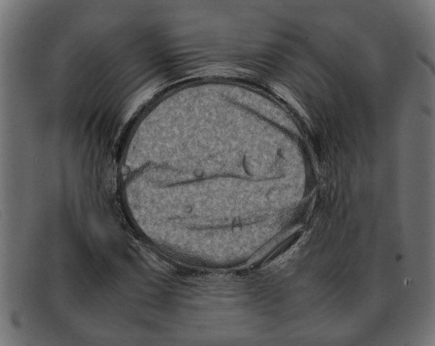 X0000092231067200710121213