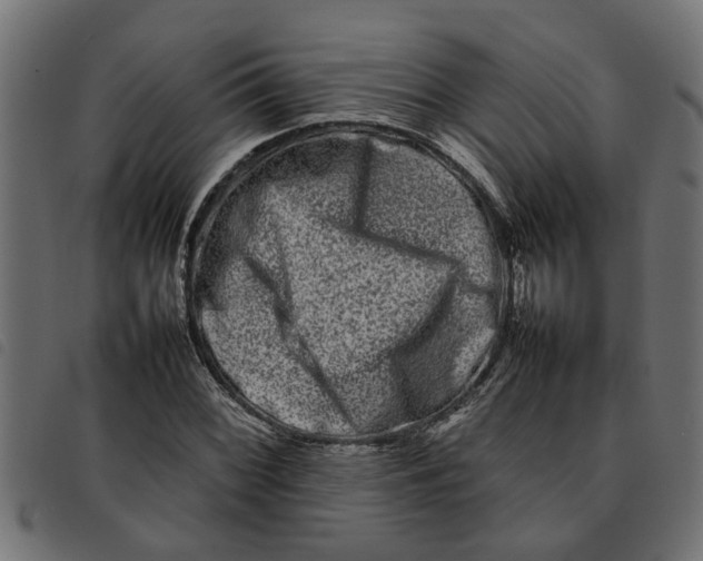 X0000092231068200710121213