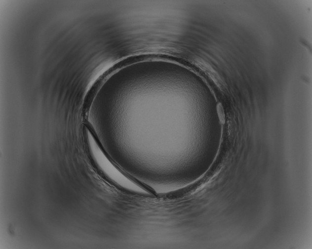 X0000092231069200710121213