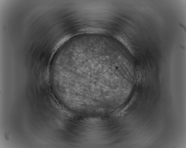 X0000092231074200710121213