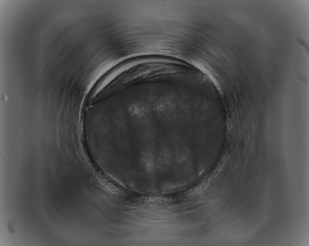 X0000092231077200710121213