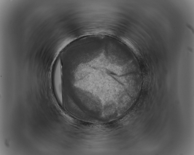 X0000092231079200710121213