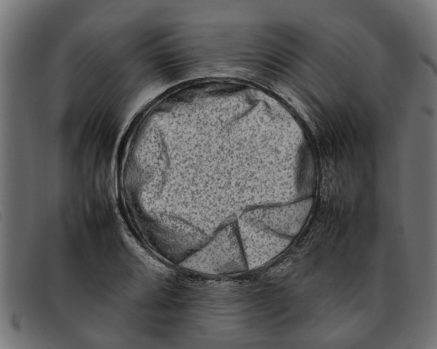 X0000092231080200710121213