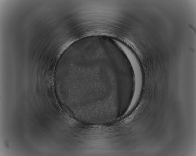 X0000092231081200710121213