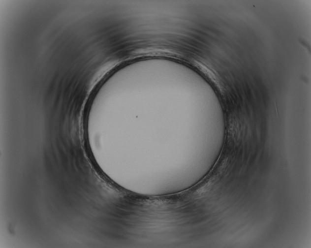 X0000092231082200710121213