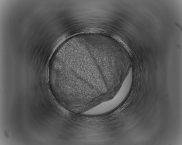 X0000092231083200710121213