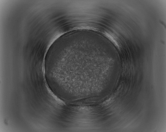 X0000092231084200710121213