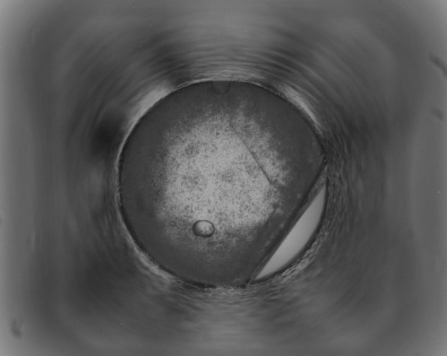 X0000092231087200710121213