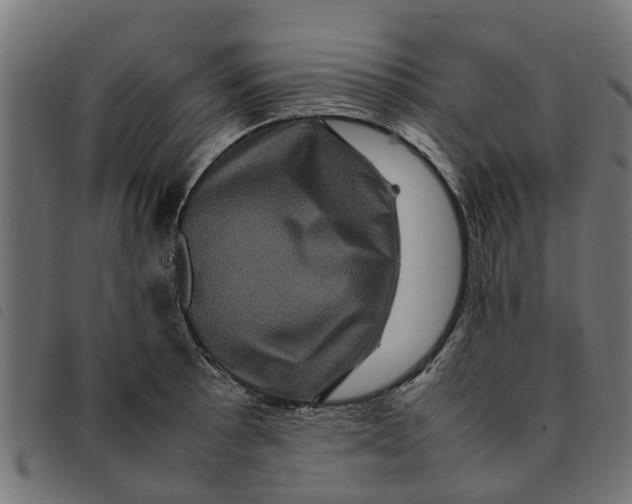 X0000092231089200710121213