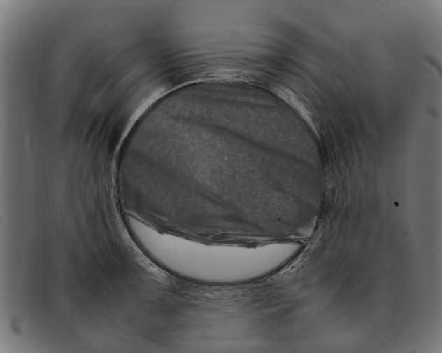 X0000092231091200710121213