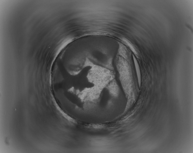 X0000092231095200710121213