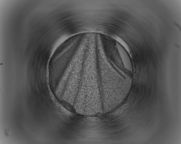 X0000092231096200710121212