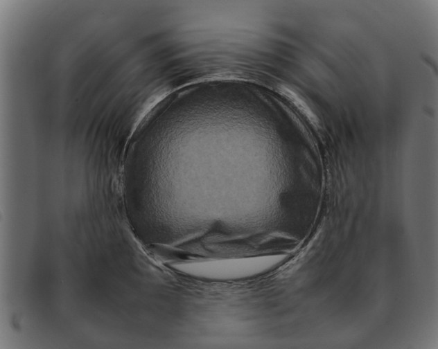 X0000092231097200710121212