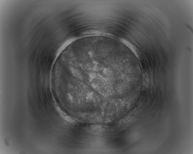 X0000092231098200710121212