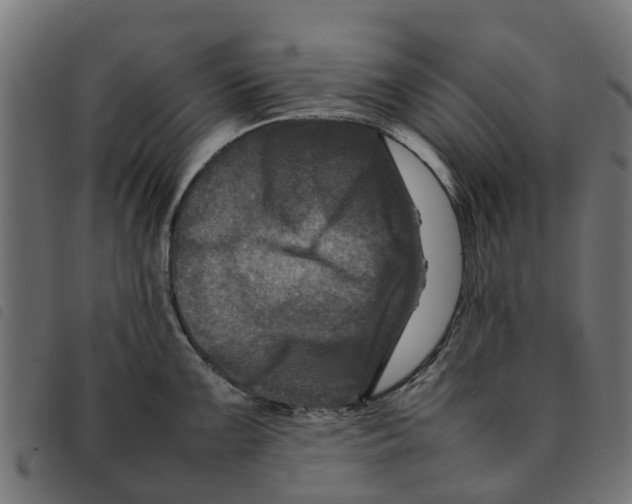 X0000092231099200710121212