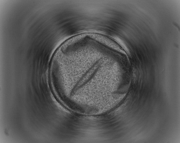 X0000092231100200710121212