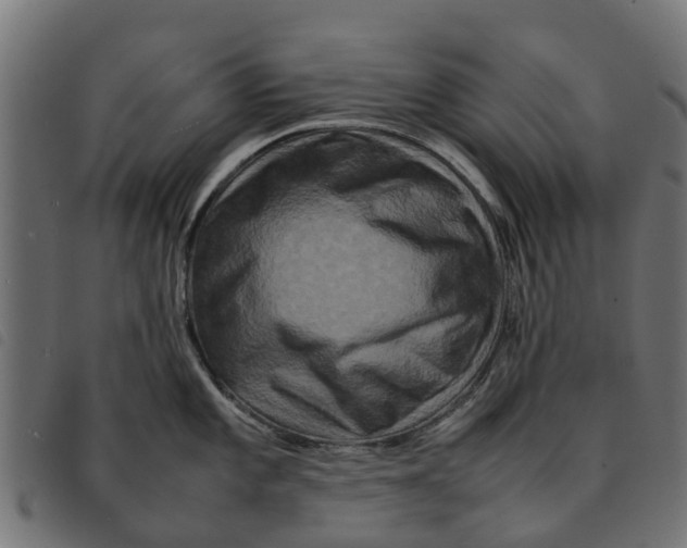 X0000092231101200710121212