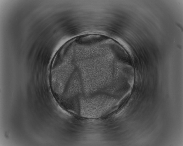 X0000092231102200710121212