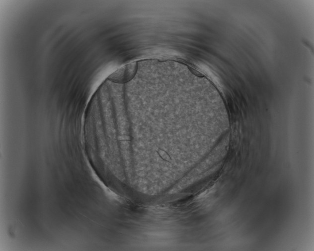 X0000092231103200710121212