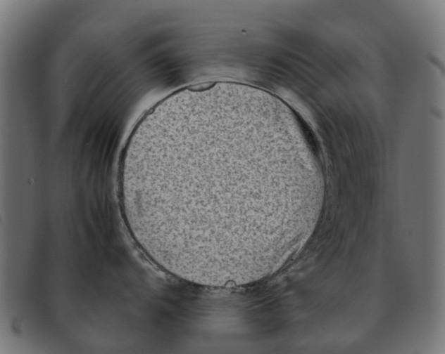 X0000092231104200710121212