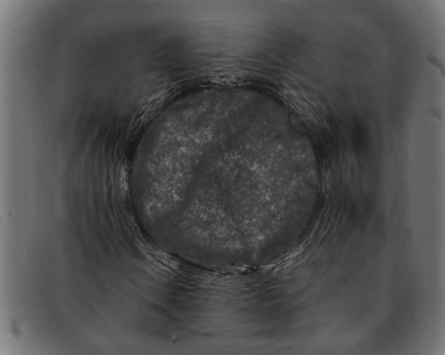 X0000092231106200710121212