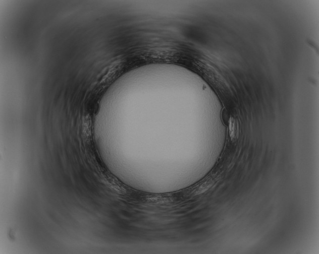 X0000092231107200710121212