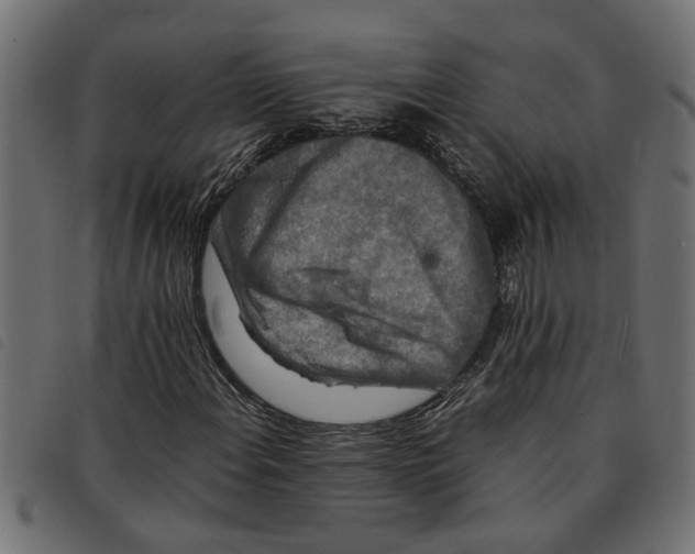 X0000092231108200710121212