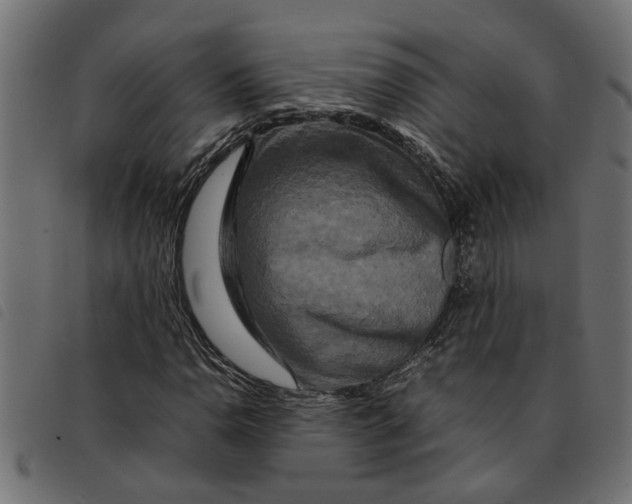 X0000092231110200710121212