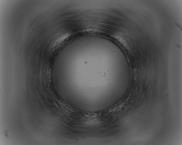 X0000092231111200710121212