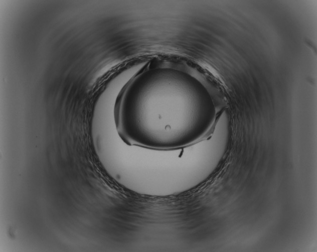 X0000092231112200710121212