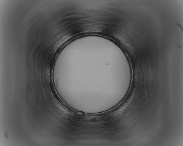 X0000092231113200710121212