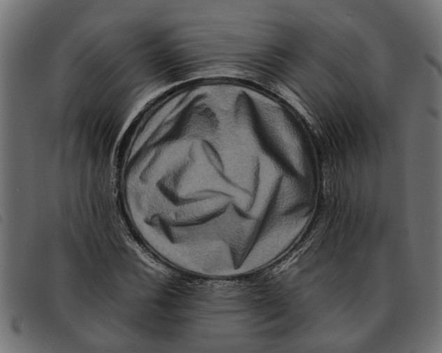 X0000092231116200710121212