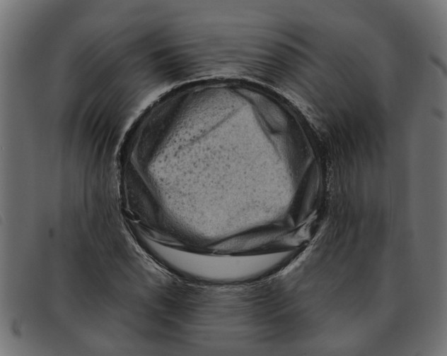 X0000092231118200710121212