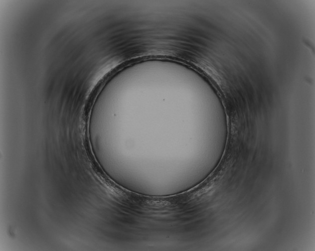 X0000092231119200710121212