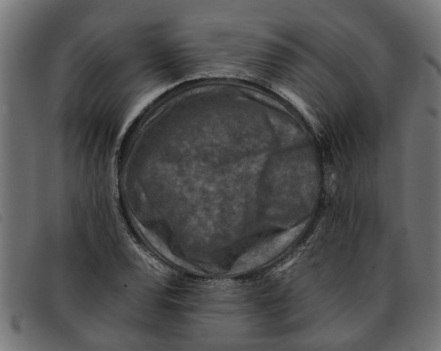 X0000092231120200710121212