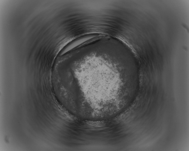 X0000092231121200710121212