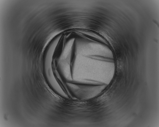 X0000092231123200710121212